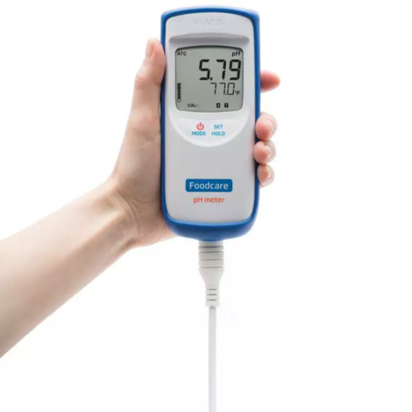 Medidor Portátil de pH para Laticínios e Indústria Alimentícia | Hanna – INCOTERMINAS® HI99161 - Imagem 2
